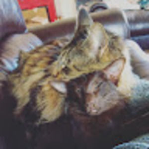 Meet your Posher, Dorothy